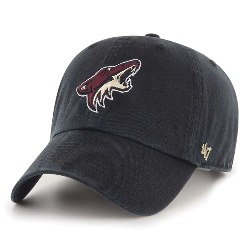 Arizona Coyotes NFL CLEAN UP Snapback Cap by 47 Brand - new