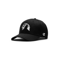 Illawarra Hawks 2026/27 Oversized embroidery A Frame Cap NBL Basketball By Champion
