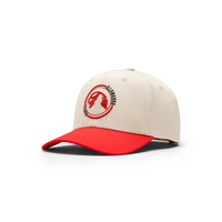 Illawarra Hawks 2026/27 Contrast Peak A Frame Cap NBL Basketball By Champion