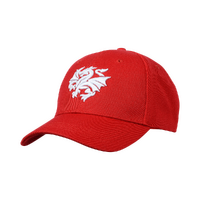 St George Illawarra Dragons NRL Team Structured Baseball Cap Rugby League By American Needle