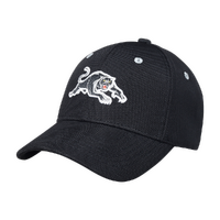 Penrith Panthers NRL Team Colour Baseball Cap Rugby League By American Needle