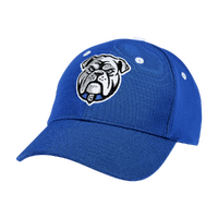 Canterbury Bankstown Bulldogs NRL Team Baseball Cap Rugby League By American Needle