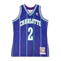 Charlotte Hornets 1994-95 Larry Johnson 2 Hardwood Classics Swingman Alternate Jersey by Mitchell & Ness