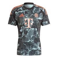 Bayern Munich FC 2024/25 Men's Away Football Jersey by adidas