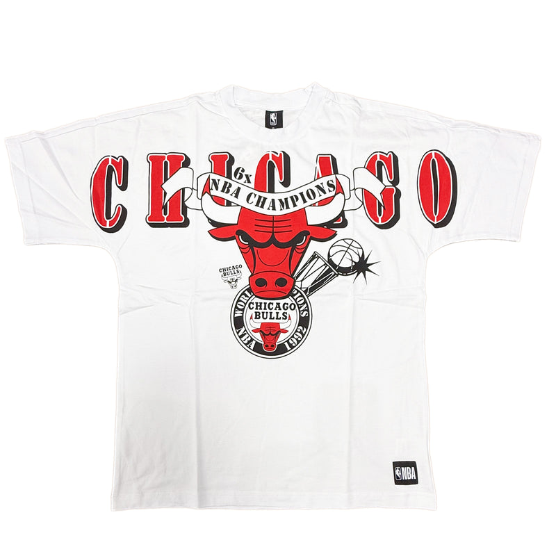 Chicago Bulls NBA Adult Champions Vintage Logo T-Shirt by Mitchell & Ness