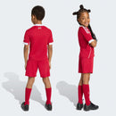 Liverpool FC 2025/26 Infant Replica Jersey Set Football (Soccer) by Adidas - new