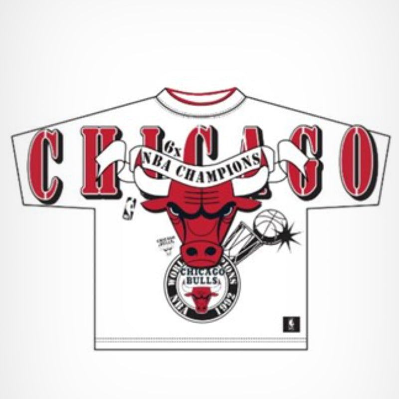 Chicago Bulls NBA Adult Champions Vintage Logo T-Shirt by Mitchell & Ness