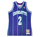 Charlotte Hornets 1994-95 Larry Johnson 2 Hardwood Classics Swingman Alternate Jersey by Mitchell & Ness - new