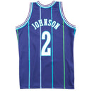 Charlotte Hornets 1994-95 Larry Johnson 2 Hardwood Classics Swingman Alternate Jersey by Mitchell & Ness - new