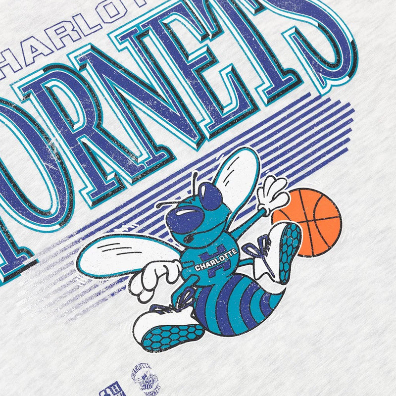 Charlotte Hornets UNDERSCORE Crew Long Sleeve Sweatshirt by Mitchell & Ness - new