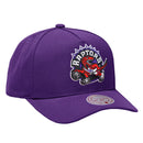 Toronto Raptors Pro Pinch Evergreen Snapback NBA by Mitchell & Ness - new