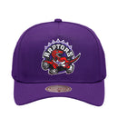 Toronto Raptors Pro Pinch Evergreen Snapback NBA by Mitchell & Ness - new