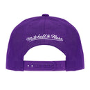 Toronto Raptors Pro Pinch Evergreen Snapback NBA by Mitchell & Ness - new