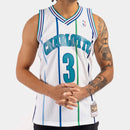 Charlotte Hornets Rex Chapman 1988-89 Hardwood Classics Swingman NBA Road Jersey by Mitchell & Ness - new