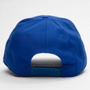 Canterbury Bulldogs NRL Stadium Snapback Curved Cap Rugby League by American Needle - new